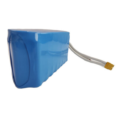 8800mAh 24V 18650 Lithium Ion Battery Pack with Braided High Temp Power Wires, XT60 High Current Plug & Separate Balance Sampling Cables for Small Trolling Motor, UN38.3 China Manufacturer