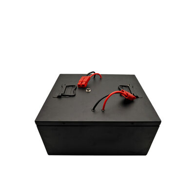Lithium Ion 24V 100Ah Personalised Battery Pack For AGV Car