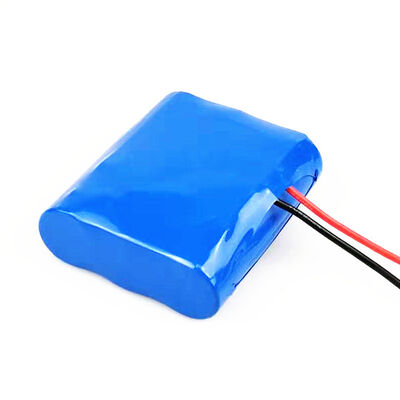 26.4Wh 2200mAh Small 12 Volt Lithium Battery