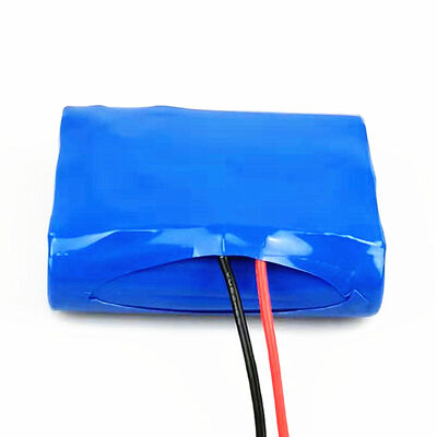 26.4Wh 2200mAh Small 12 Volt Lithium Battery