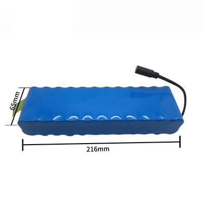 Custom Sony 12V 20Ah Lithium Battery Pack, Blue PVC Heat Shrink Wrap with DC Female Charging Port & Pull Tab, RoHS Compliant Made in China