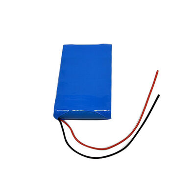 Custom 12V 4400mAh Blue PVC Insulated BMS Protected Rechargeable Li-ion Cell with Bare Tinned Red Black Lead Wires for Slim Embedded Devices, RoHS Compliant Made in China