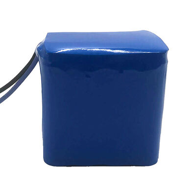 Custom 12V 12.2Ah 18650 Lithium Ion Battery 1000 Cycle Custom 18650 Battery Pack for Handheld Beauty  | CB Certified China Manufacturing Factory