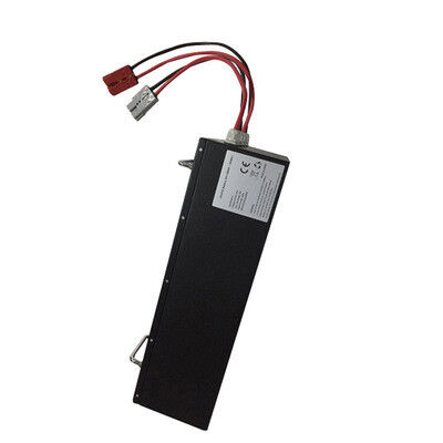 24V 200 AMP LiFePO4 Lithium Iron Phosphate Battery Pack, Dual Metal Carry Handles Dual Anderson for Fishing Boat, RoHS Compliant Made in China