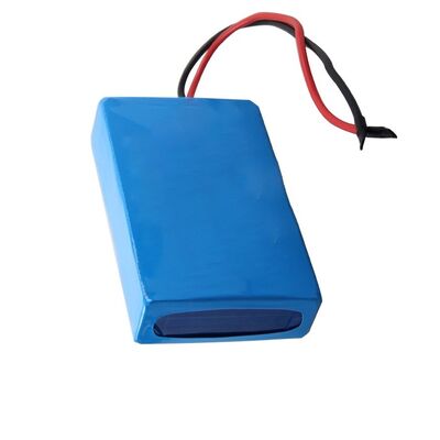 2.9Ah 24V Flat Square 18650 Lithium Ion Battery Pack Red Black Stripped Bare Copper Wire Built-in BMS for Robot Sweeper, UN38.3 China Manufacturer