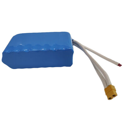 8800mAh 24V 18650 Lithium Ion Battery Pack with Braided High Temp Power Wires, XT60 High Current Plug & Separate Balance Sampling Cables for Small Trolling Motor, UN38.3 China Manufacturer