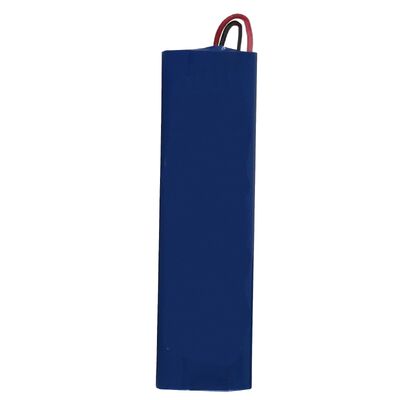 NMC 2600mAh 24V Rechargeable 18650 Lithium Ion Battery Pack with 1C Discharge for Medical Equipment, RoHS Compliant Made in China