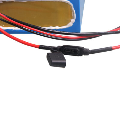 48V 25Ah 18650 Lithium Ion Battery Pack, Multi Red Black Wire Harness Small JST Male Connector for Garden Wall Lamp，IEC62133 China Manufacturer