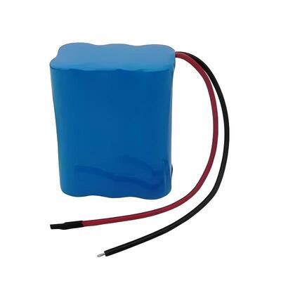 Beauty Instrument 5000mah 12v 18650 Battery Pack Rechargeable