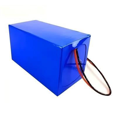 24V 100Ah LiFePO4 Lithium Battery Pack, Custom Rechargeable Battery with BMS Protection, Blue PVC Casing for E-Bike, CE China Manufacturing