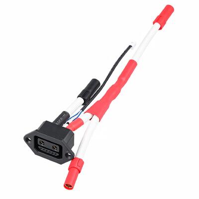 Custom High Current Charging Port Wiring Harness with Banana Plug & Signal Wire for Scooter